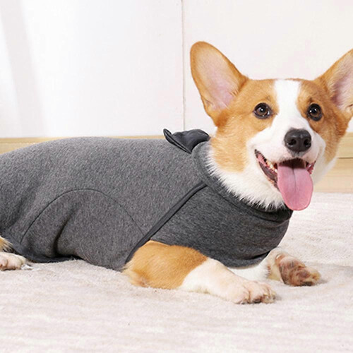 Pull en peluche à col montant pour animaux de compagnie, confortable et chaud 2