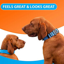 Quick Release Buckle Dog Collar, Breathable Nylon Adjustable for Large Dogs, All-Weather, Dual Stitching, Soft Cushion for Comfort