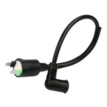 Compatibele bobine voor ET950 ET650 benzinegeneratormotor, krachtige, meerkleurige uitvoering, SZRH AD 4750