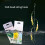 Fishing Baits Hook Sabiki Rig Fishing Baits Lures Rig-White 10