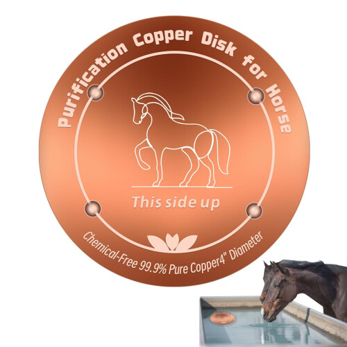 Multifunctioneel koperen schijfreiniger voor de zuivering-paard 2