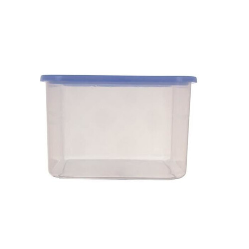 Curver Contenitore per alimenti - Curver - EF500814 - Plastica - 4 L - Colore blu 2