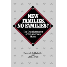 New Families No Families by Linda J. Waite Paperback Book