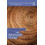 Environmental Ethics and Behavioural Change by Benjamin Franks Paperba 1