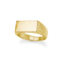 (T) Jewelco London Unisex Solid 9ct Gold Engravable Barked Initial Blank Plate Signet Ring - JIR006