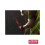 Milwaukee Glasfaser-Schlosserhammer 200 g Milwaukee 2