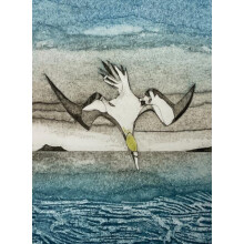 Wild Birds Pocket Notebook Gannet Other Book