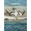 Wild Birds Pocket Notebook Gannet Other Book 1