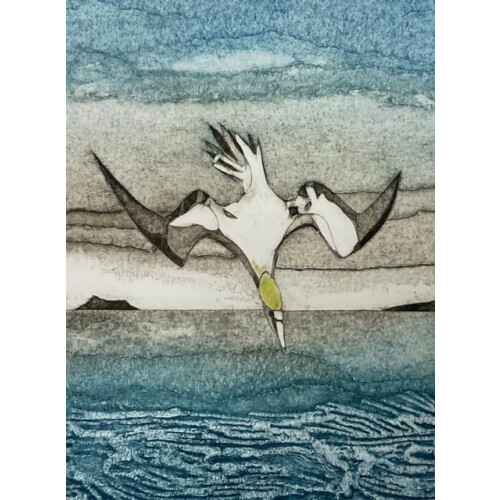 Wild Birds Pocket Notebook Gannet Other Book