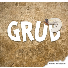 Grub by Sandra Severgnini Hardcover Book