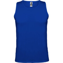 (7-8 Years, Royal Blue) Roly Childrens/Kids Andre Sports Vest Top