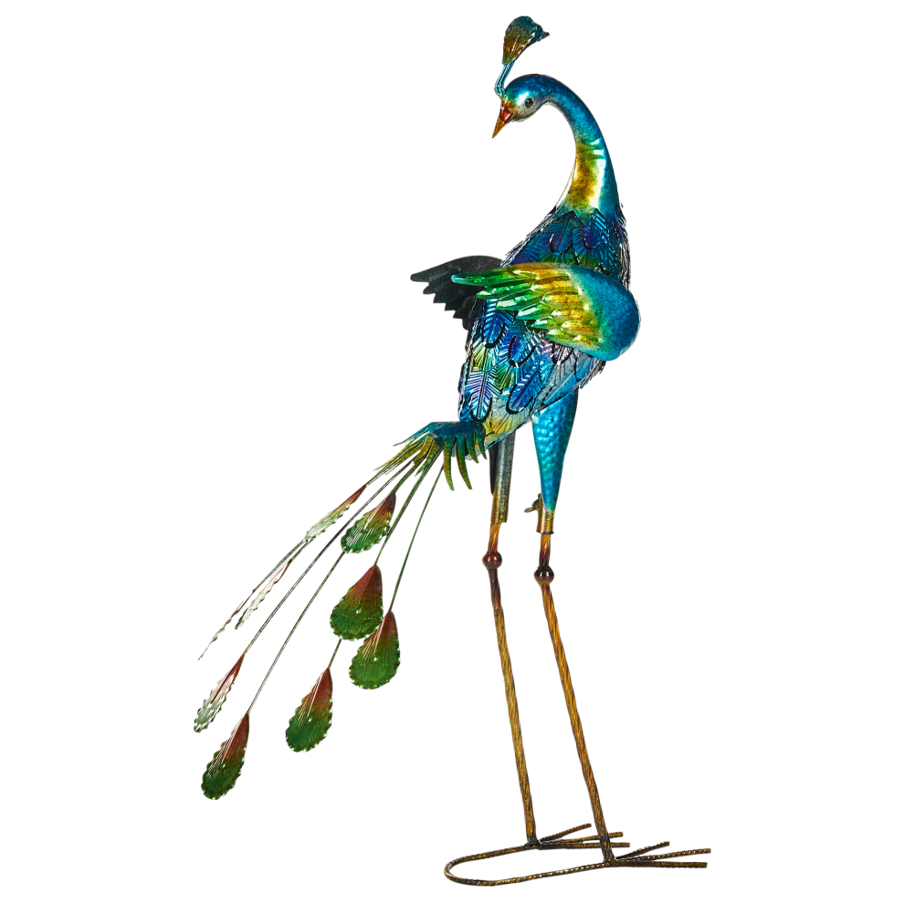 PEACOCK
