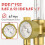 Lassen Gasregelaar Flowmeter met Gasslang, Lekvrije Argon CO2 Drukmeter met Universele Multi-Interface 6
