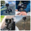 For  Osmo Action 5 Pro 4 3 Wind Noise Reduction Sponge Foam Cover Windproof Windshield Action Camera Protective Cover 7