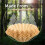 Coffee Filters for  Coffee Percolator, 100 Pcs Perforated Unbleached Filter Paper for  4Cup 5