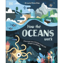 How the Oceans Work by Lucia Dr Perez Diaz Hardcover Book