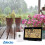 Wireless Weather Station with Large Display, Black 2