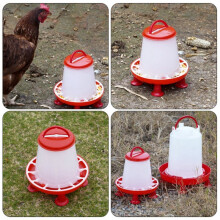 1.5 Kg and 3 L Automatic Chicken Poultry Waterer Bucket Feeder High Quality Water  Drinker Bucket for Farm Supply