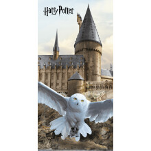 Harry Potter Hogwarts Bath Beach Towel 140 x 70 cm