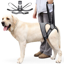 Outdoor Hunde-Hinterbein-Stützgeschirr - Mobilitätshilfe für verletzte & ältere Hunde XL