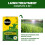 Miracle-Gro Miracle Gro Complete 4 In 1 Lawn Treatment 80m2 5