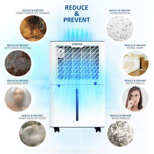 NETTA (20L) NETTA Compact Dehumidifier with LED Control Panel 2