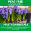 Miracle-Gro Miracle Gro Bulb Fibre Compost Peat Free 10L 8