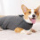 Pull en peluche à col montant pour animaux de compagnie, confortable et chaud 5