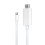 1080P HD Lightning till HDMI-adapterkabel för iPhone iPad skärmspegling stöder iOS 11.0+ 1