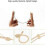 2.4G Wireless Headset & Handheld Microphone Combo 50m Range Voice Amplification 4