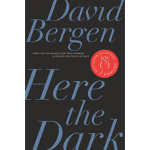 Here the Dark by David Bergen Paperback Book