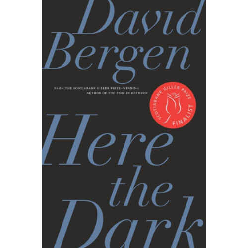 Here the Dark by David Bergen Paperback Book