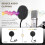 Metal Pop Filter Shield Windscreen for USB Microphone Podcast Mic 4