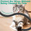 10ft Chew-Proof Cable Sleeve Durable Protector Safeguards Cables from Pets 3