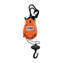1300W Electric Hoist with Wired Control (230kg/507.06lbs)
