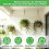 20Pack Ceiling Hook Ring Hooks Stainless Steel Oblong Pad Eye Plate Heavy Duty Ceiling & Wall Mount Hook Hanger 5