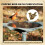 4 Pcs  Bird Shape Copper Bath Disk Ornaments Copper Bird Bath Purification Disks Birdbath Cleaner 6
