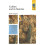 Cubism and its histories by David Cottington Paperback Book 1