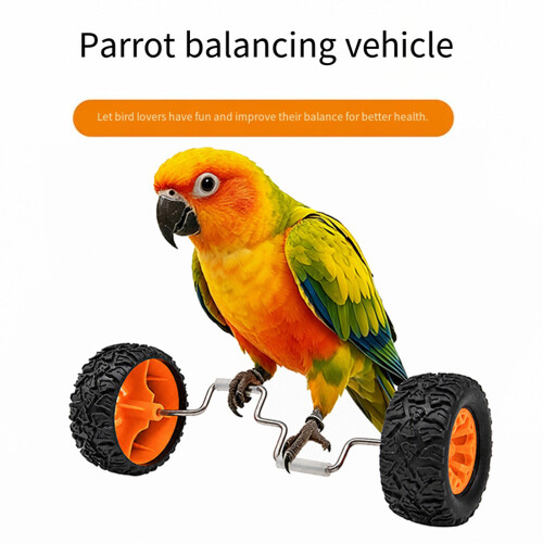 Papegaaien Oefenen Balansrollerspeelgoed voor 1