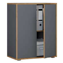 Office cabinet Sideboard Salia 2x B60