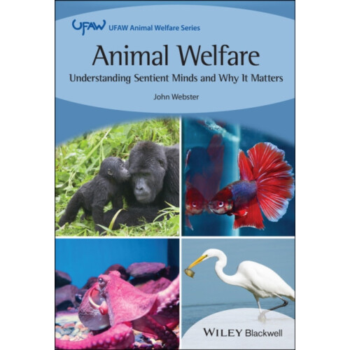 Animal Welfare by John G. Webster Paperback Book