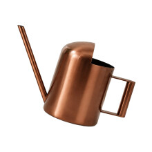 Kleine Gießkanne mit schmalem Hals für Gartentöpfe und-Bronze