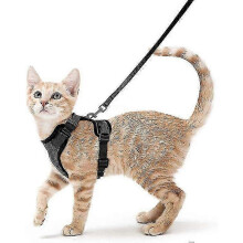 Pettorina per gatti con guinzaglio, antifuga, regolabile (taglie XS-S)