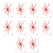 Temporary Body Art Decals for Halloween Makeup, 10 Sheet-010