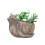 Single piece accent for fish habitat styling and desktop-1 1