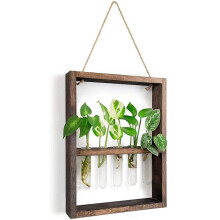 Provetta per Piante Sospese Montate a Parete Bocciolo di Fiori Terrario in Vetro Cornice in Legno per la Decorazione di Nozze del Giardino di Casa