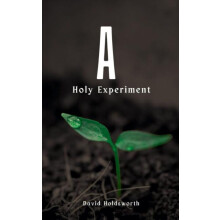 A Holy Experiment by David Holdsworth Paperback Book