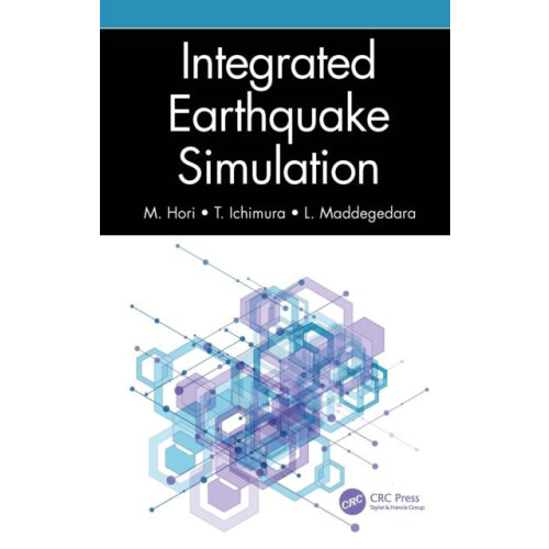 Integrated Earthquake Simulation by M. Hori Paperback Book