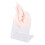 Soft Elf Ear Model for Themed Photos,-Pink and white left ear 1