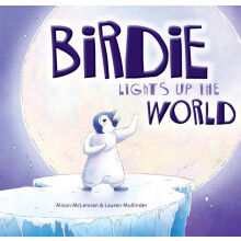 Birdie Lights Up the World by Alison McLennan Hardcover Book